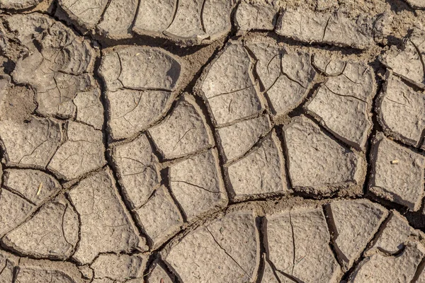 Sec Fissures Profondes Désert Pénurie Mondiale Eau Sur Planète Concept — Photo