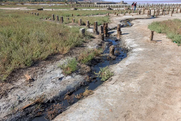 Aliran Tumpahan Minyak Mentah Cair Mengalir Selokan Drainase Dalam Tubuh — Stok Foto