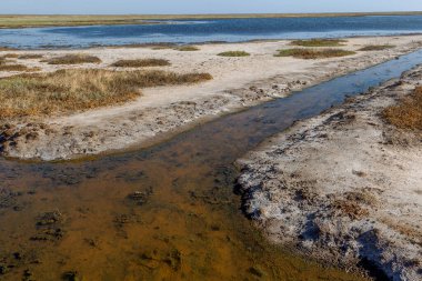 Çürümüş, kokuşmuş, kirli su kalıntılarıyla dolu eski bir toprak sulama kanalı. Kırım 'ın su ablukası sonucunda yapay kuraklık, toprak kanalının kullanılmayan suyu çürür ve kaybolur.