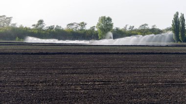 Otomatik tarım sulama sistemi, tarımın kurak bölgesindeki tarlaların sulanması. Uzun bir fıskiye hattı tohum tarlasını suluyor. Tarım endüstrisi, kuru arazi tarımı