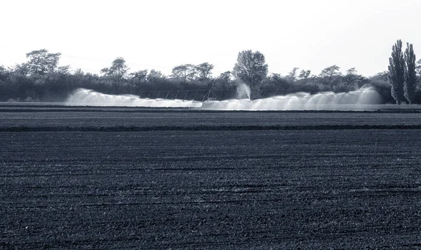 Otomatik tarım sulama sistemi, tarımın kurak bölgesindeki tarlaların sulanması. Uzun bir fıskiye hattı tohum tarlasını suluyor. Tarım endüstrisi, kuru arazi tarımı