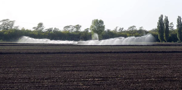Otomatik tarım sulama sistemi, tarımın kurak bölgesindeki tarlaların sulanması. Uzun bir fıskiye hattı tohum tarlasını suluyor. Tarım endüstrisi, kuru arazi tarımı