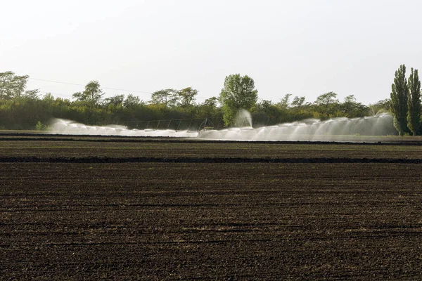 Otomatik tarım sulama sistemi, tarımın kurak bölgesindeki tarlaların sulanması. Uzun bir fıskiye hattı tohum tarlasını suluyor. Tarım endüstrisi, kuru arazi tarımı