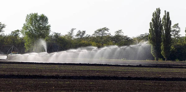 System Automatic Agricultural Irrigation Irrigation Field Arid Zone Agriculture Long — Stock Photo, Image