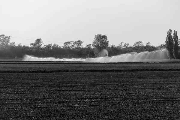 自動農業灌漑 農業の乾燥地帯でのフィールドの灌漑のシステム 長い列のスプリンクラーが種子フィールドを灌漑します 乾燥地農業 — ストック写真