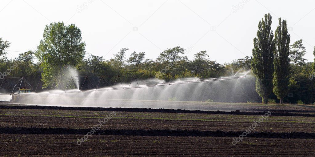 The system of automatic agricultural irrigation, irrigation of the field in the arid zone of agriculture. A long line of sprinklers irrigates the seed field. Agro-industrial, dryland agriculture