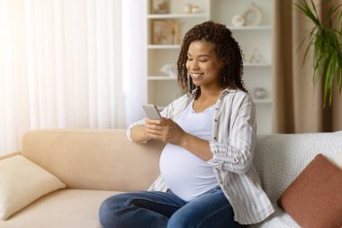 Hamile Afro-Amerikan bir kadın kanepesinde oturuyor, akıllı telefonu tutuyor ve gülümsüyor, internetten iletişim kuruyor, annelik dönemindeki bağlantının ve yaşam tarzının keyfini çıkarıyor..