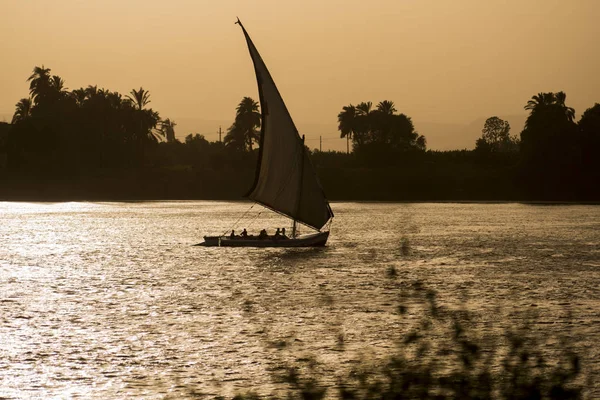 Traditionele Egyptische Felluca Zeilboot Rivier Nijl Silhouet Bij Schemering Zonsondergang — Stockfoto