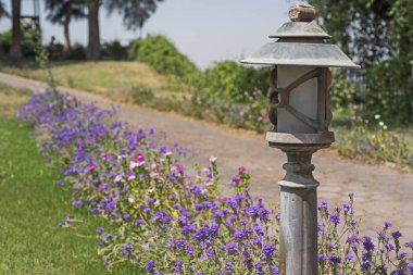 Taş patika çiçekli çalılar ve ağaçlar tropikal süslü lambalar ile süs bahçe zemin içinde aracılığıyla