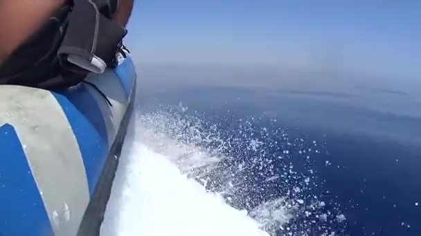 Kleine Opblaasbare Speedboot Reizen Met Hoge Snelheid Kalme Plat Tropische — Stockvideo