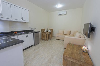 Lüks apartmandaki oturma odası salonu iç dekorasyon mobilyalarını gösteren evi gösteriyor.