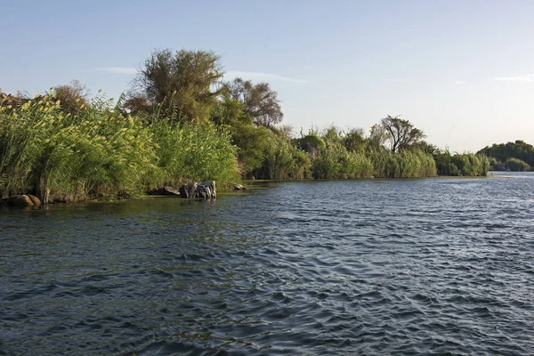 Vista Para Baixo Grande Rio Largo Nilo Assuão Egito Margem — Fotografia de Stock