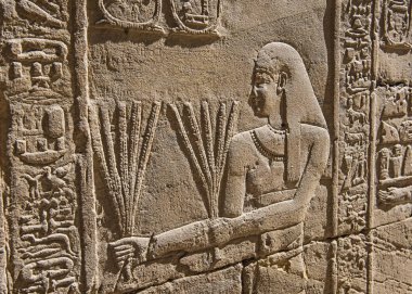 Edfu 'daki antik Mısır tapınağı Horus' un duvarına hiyeroglif oymalar.