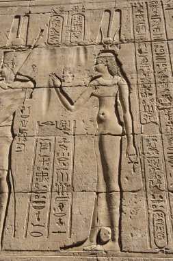 Edfu 'daki antik Mısır tapınağı Horus' un duvarına hiyeroglif oymalar.