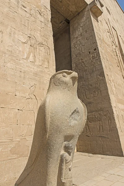 Hieroglypic 古代エジプト神殿のホルス エドフの神の像が壁に — ストック写真