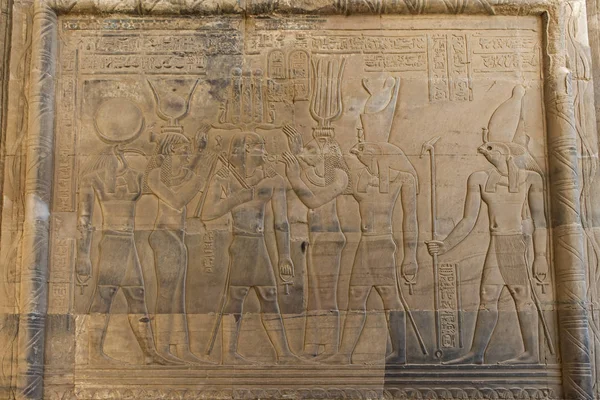 Tallados Jeroglípicos Pared Antiguo Templo Egipcio Kom Ombo —  Fotos de Stock