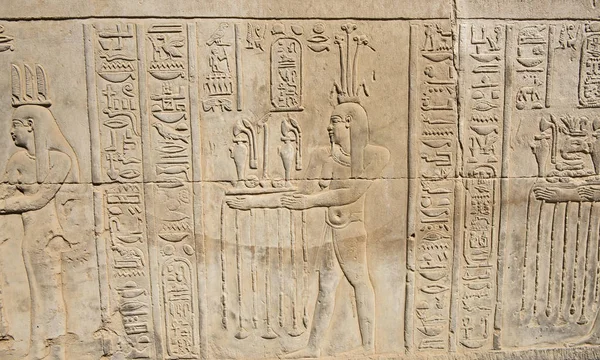 Hieroglypic Houtsnijwerk Muur Oude Egyptische Tempel Van Kom Ombo — Stockfoto