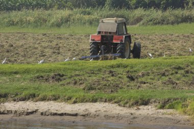 Kırsal tarım tarıma elverişli alanların nehir tarafından Afrika kırsal ortamda çiftçilik traktör