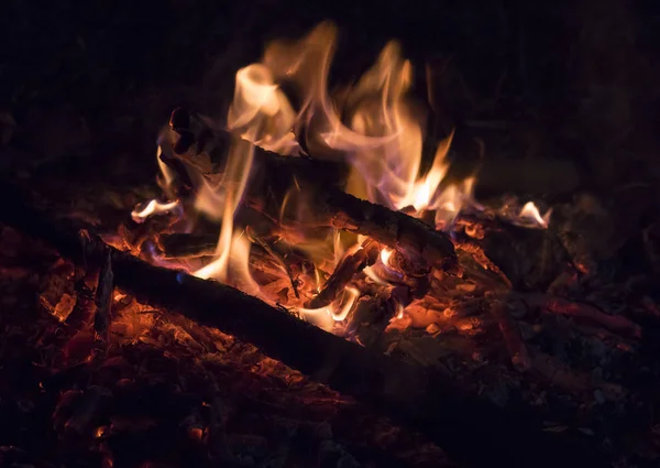 Closeup detail of wood burning on small bonfire with glowing embers