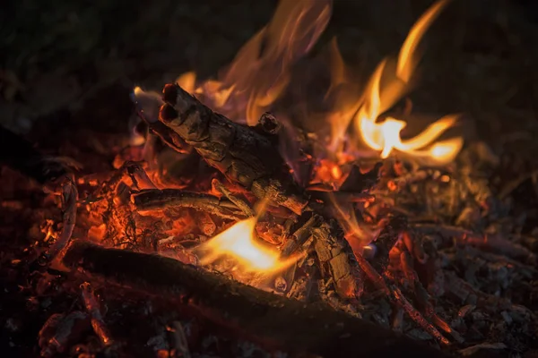 赤らむ燃えさしで小さなたき火に薪のクローズ アップの詳細 — ストック写真