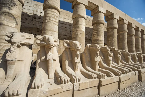 Ram Čele Alej Sfing Starověký Egyptský Chrám Karnak Luxoru — Stock fotografie