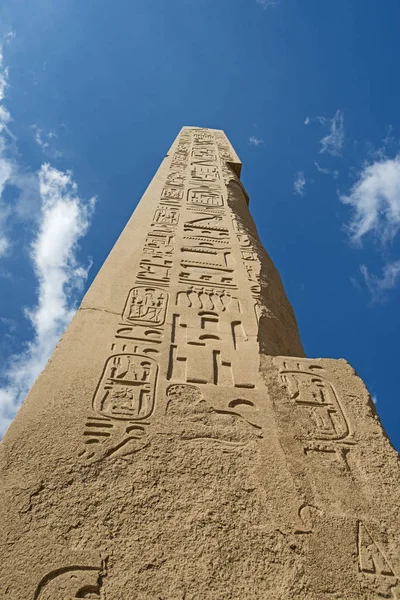 Grande Obelisco Egyptian Antigo Alto Temple Karnak Luxor Com Carvings — Fotografia de Stock