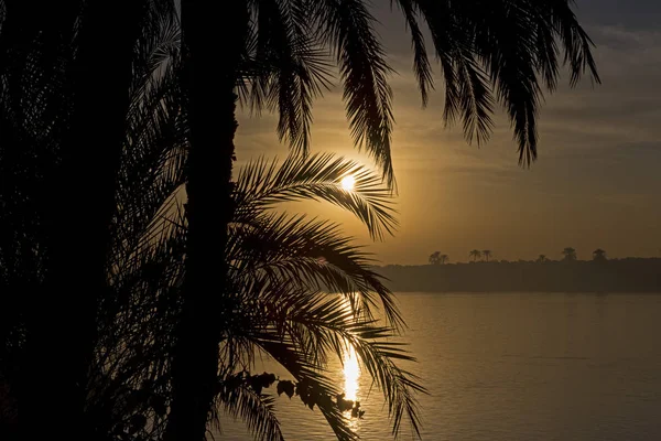 Visa Hela Stora Breda Floden Nilen Egypten Genom Landsbygden Palm — Stockfoto