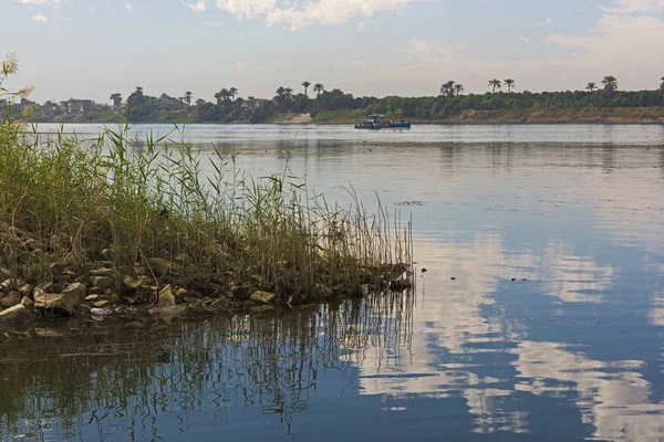 Büyük Nehri Panoramik Manzaralı Kırsal Kırsal Nil Çim Sazlık Yansıması — Stok fotoğraf