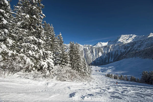 Панорамный вид на альпийскую долину — стоковое фото
