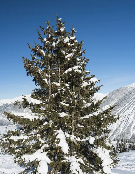 Vista panorâmica do vale coberto de neve na cordilheira alpina — Fotografia de Stock