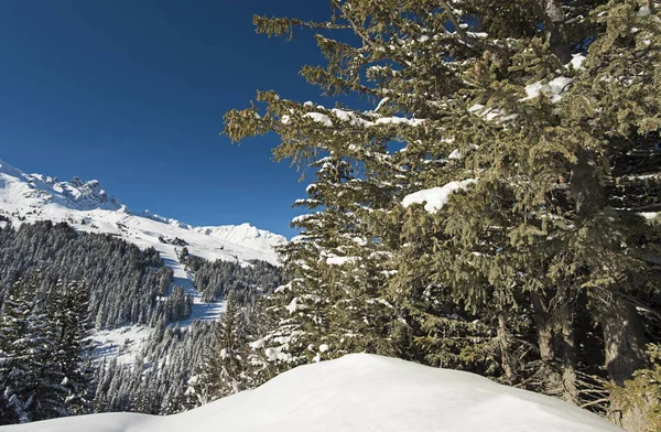 Alp dağ silsilesi vadide panoramik aşağı kar kaplı — Stok fotoğraf
