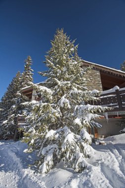 Daireler ve karlı ağaçlar ile Alpine Kayak tesisi.