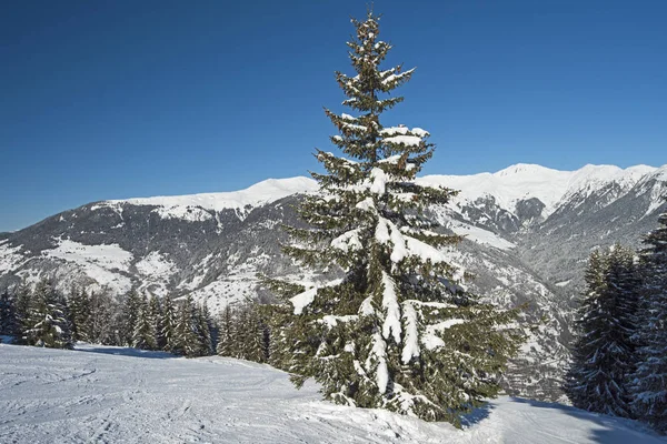 Blick ins tief verschneite Tal in den Alpen — Stockfoto