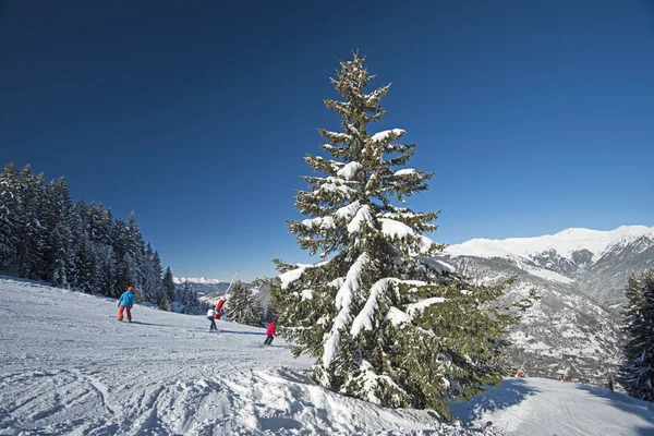 アルペン スキー リゾートのゲレンデにスキーヤー — ストック写真