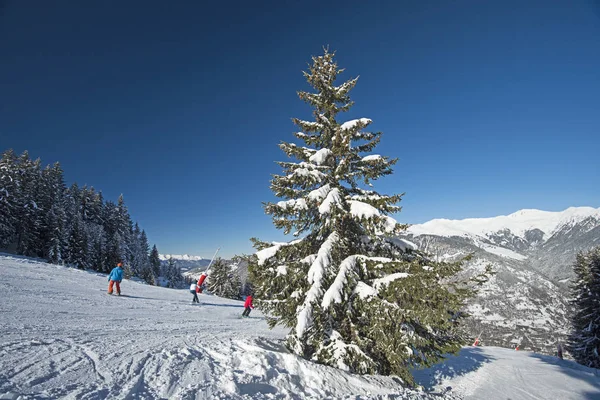 Skifahrer auf der Piste im alpinen Skigebiet lizenzfreie Stockbilder