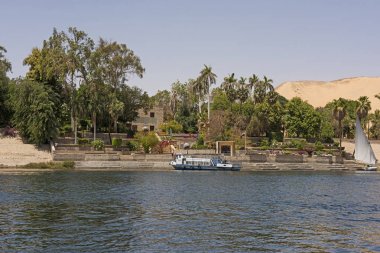 Mısır'da Aswan tropikal botanik bahçeleri