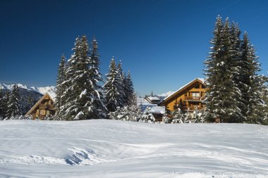 Daireler ve karlı ağaçlar ile Alpine Kayak tesisi.