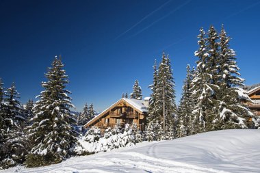 Daireler ve karlı ağaçlar ile Alpine Kayak tesisi.