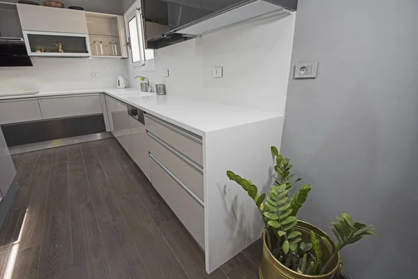 Modern köks design i en lyxig lägenhet — Stockfoto