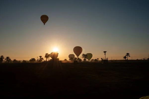 Paisaje Vista Globos Aire Caliente Despegando Amanecer Con Amanecer —  Fotos de Stock