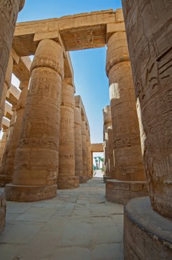 Luxor 'daki Karnak Tapınağı' nın antik Mısırlı hipotenüs salonundaki sütunlara hiyeroglif oymalar.