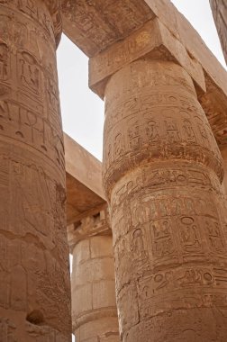 Luxor 'daki Karnak Tapınağı' nın antik Mısırlı hipotenüs salonundaki sütunlara hiyeroglif oymalar.