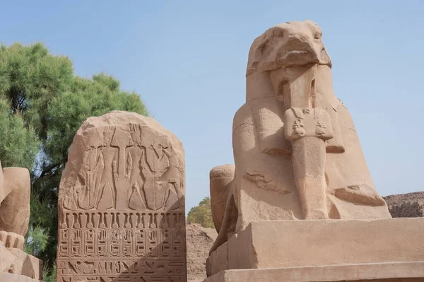 Antigo Egípcio Carneiro Encabeçado Pedra Esfinge Estátua Tablet Templo Karnak — Fotografia de Stock