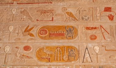 Luxor 'daki eski Mısır Hatshetup tapınağının duvarına hiyeroglif oymalar ve tablolar