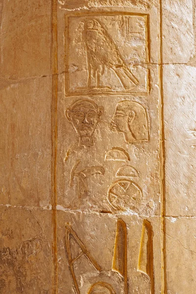 Hieroglypic Carvings Paintings Wall Ancient Egyptian Temple Hatshetup Luxor — Stock Photo, Image