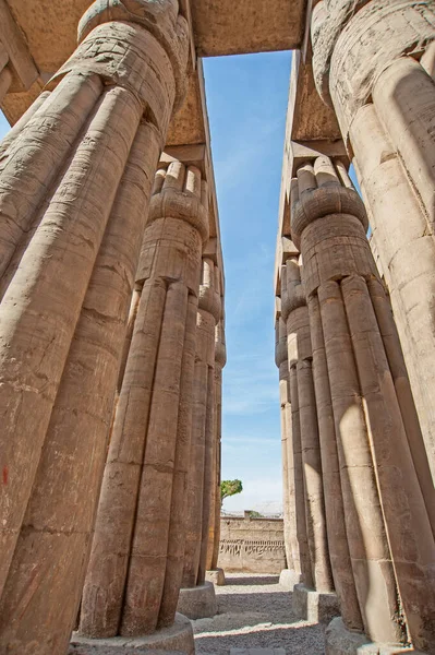 Sculptures Hiéroglypiques Sur Colonnes Ancien Temple Égyptien Luxor — Photo