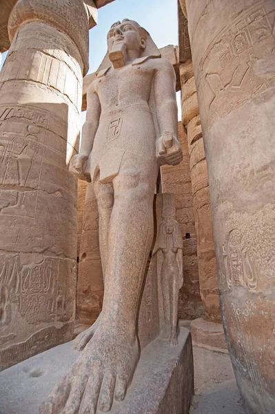 古埃及卢克索神庙的拉姆斯二世大雕像和象形文字雕塑 — 图库照片