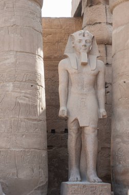 Sütunlar arasındaki Antik Mısır Luxor Tapınağı 'nda 2. Ramses' in büyük heykeli ve hiyeroglif oymaları