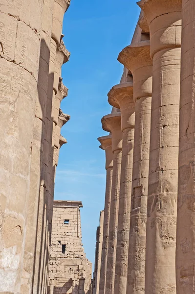 古代エジプトのルクソール神殿の列に象形彫刻 — ストック写真