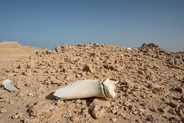 乾燥した古い動物の骨は乾燥した厳しい砂漠の風景の中で腐敗腐敗 — ストック写真